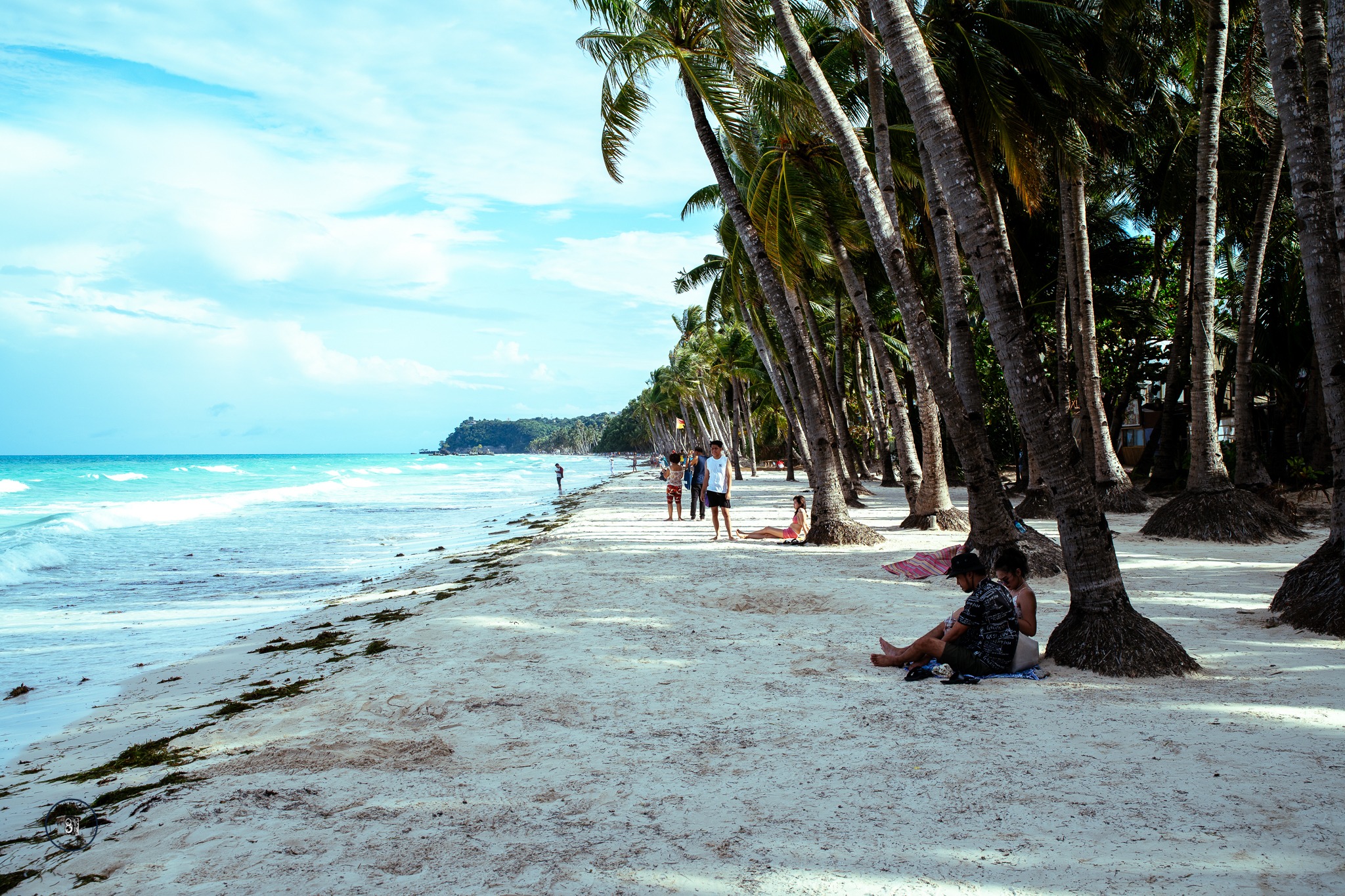 Palm-lined white sand beach in the Philippines